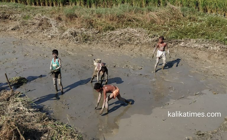 हिलाेमा माछा समात्दै