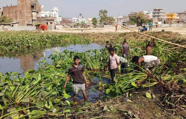 छपकैया छ्ठघाट पोखरीको सरसफाइ
