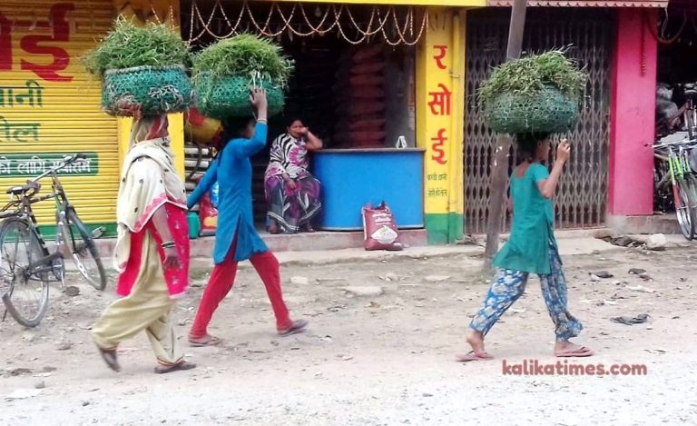 घाँस टाउकाेमा बाेकी महिलाहरू जादै