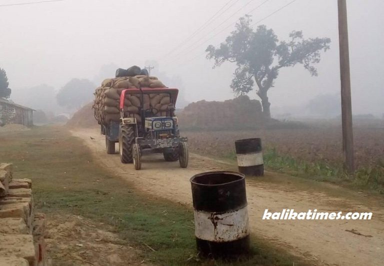 प्रहरी र जनप्रतिनिधि कै मिलोमतोमा भारतिय धान नेपाल तस्करी