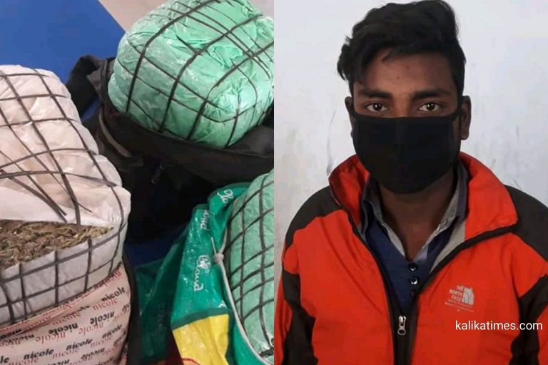 लागु औषध गाँजा सहित बिन्दबासिनिका दास पक्राउ