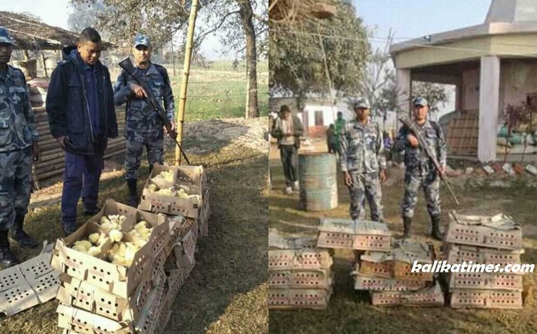 १२ कार्टुन अबैध कुखुराको चला बरामद