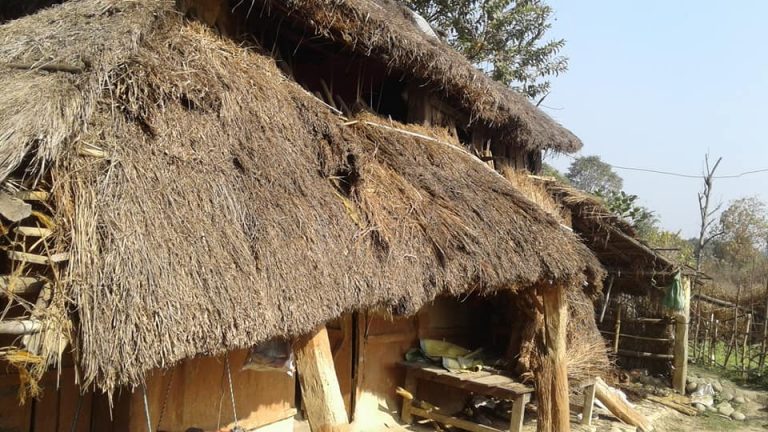 ठोरीमा हातीले भत्काए ३ जनाको घर