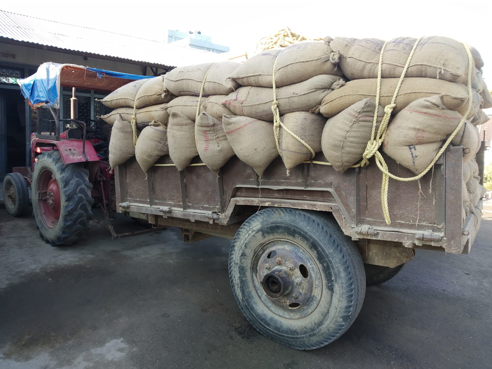 ganhu pakrau_kalikatimes