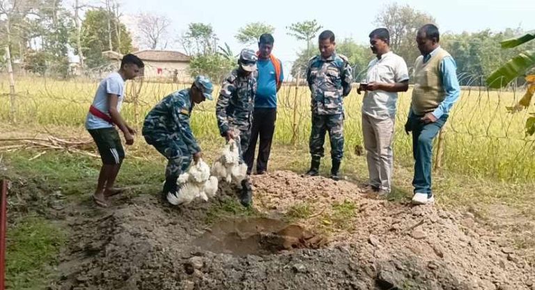 भारतबाट भित्र्याइएकाे कुखुरा सशस्त्र प्रहरीद्वारा नष्ट