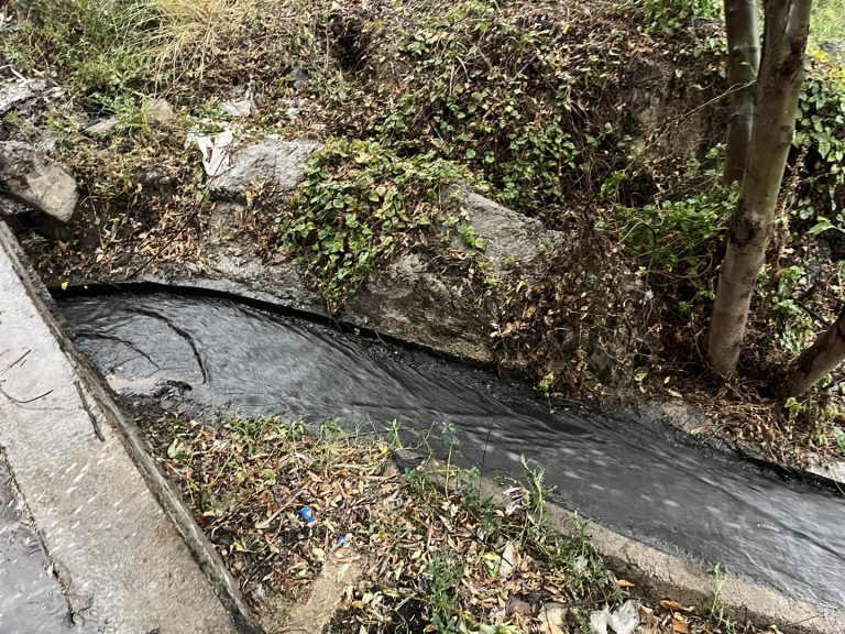 अझै टेरेनन् उद्याेगी, चोरबाटो सिर्सिया नदीमा प्रदुषित पानी मिसाउँदै