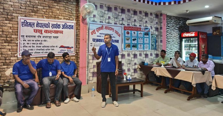 नियम विपरित पशु ढुवानी हुँदै : एनिमल नेपाल