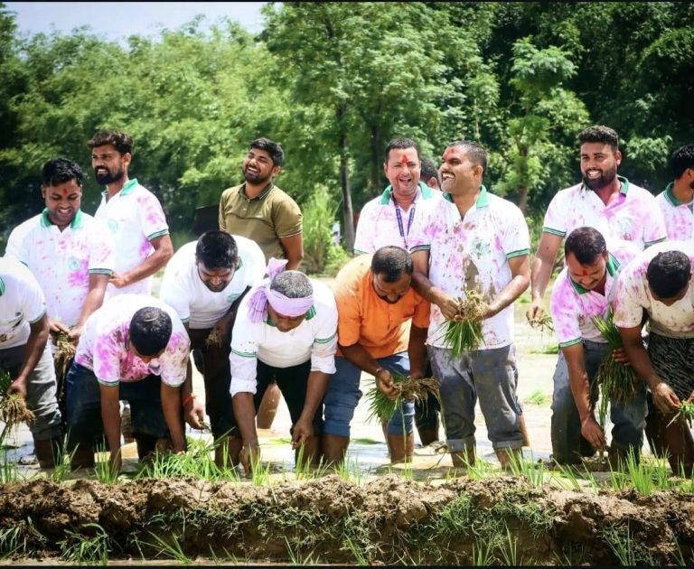 जगरनाथपुर गाउँपालिकामा धान राेपेर मनाइयाे धान दिवस