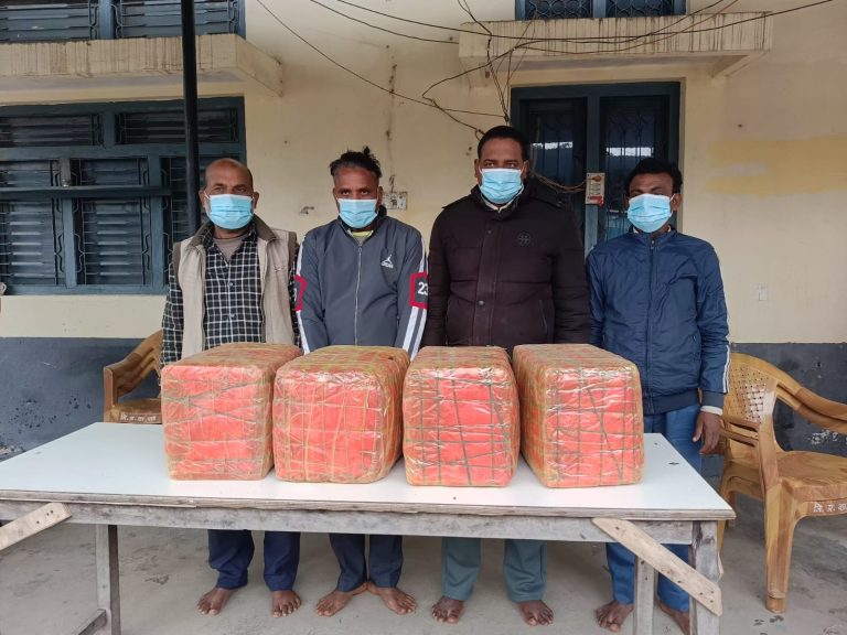 हरपतगञ्जबाट ५० केजी लागु औषध गाँजा सहित ४ जना पक्राउ