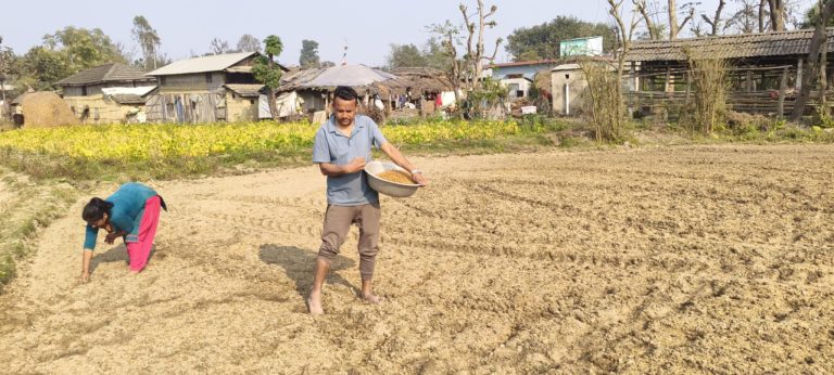 पर्सामा किसानहरुले चैते धानको बीऊ राख्न थाले