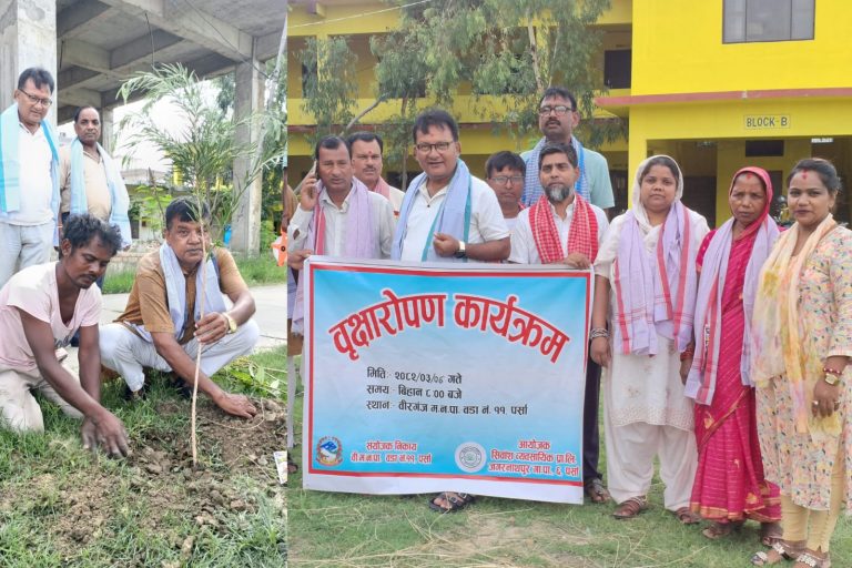वीरगंज ११ मा बृक्षाराेपण कार्यक्रम सम्पन्न