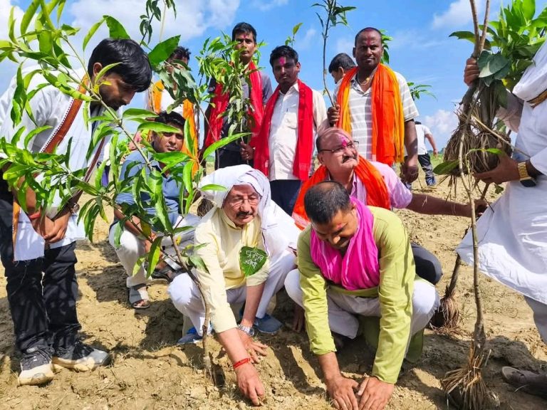 जगरनाथपुर गाउँपालिकाको वृक्षारोपण अभियान तिव्र, १० बिघा बगरमा १० हजार बढी विरुवा रोपियाे