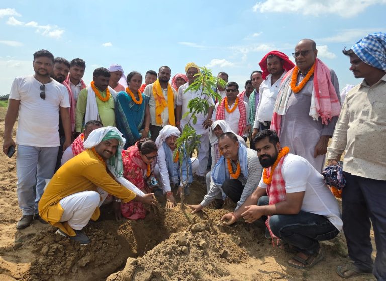 जगरनाथपुर गाउँपालिकाकाे ८ बिघा ऐलानी जमिनमा पुन: वृक्षारोपण
