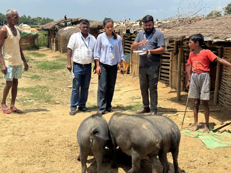 वीरगंजमा जापानीज इन्सेफलाइटिस नियन्त्रणका लागि सुँगुर फार्ममा अनुगमन