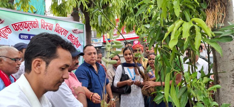 “एक घर, एक बिरुवा” अभियानअन्तर्गत वीरगंजमा फलफूलका बिरुवा निःशुल्क वितरण सुरु
