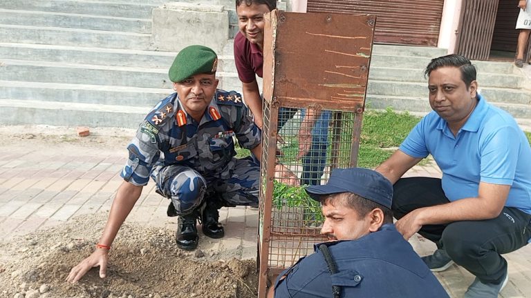 वीरगंज–१६ फुलवारी टोलामा वृक्षारोपण कार्यक्रम सम्पन्न