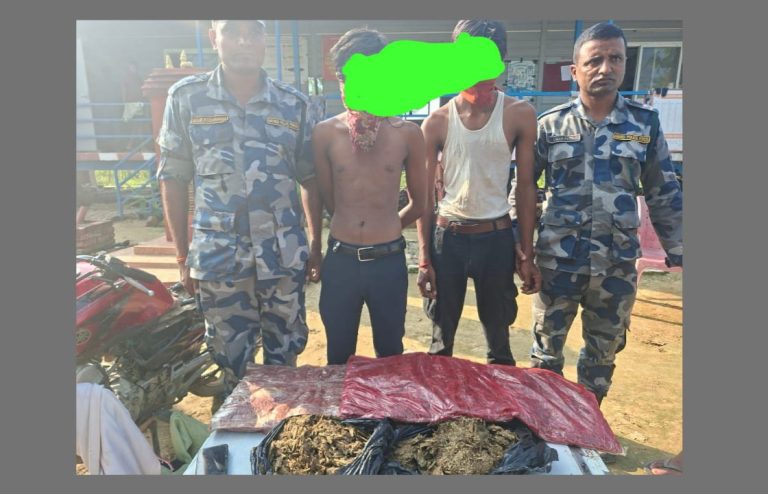 सशस्त्र प्रहरीद्वारा अमरपट्टीबाट गाँजासहित दुई जना पक्राउ