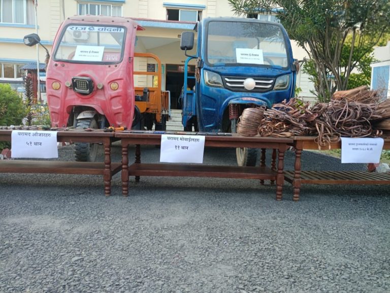सर्लाहीमा ट्रान्सफर्मरको तामाको तार चोरी गर्ने गिरोह पक्राउ