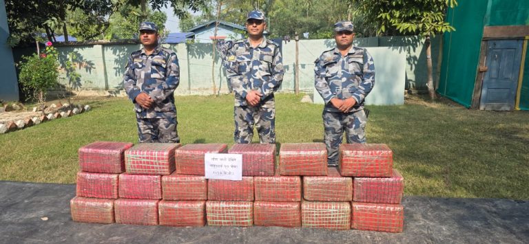 पर्सामा सशस्त्र प्रहरीद्वारा विशेष अपरेशनमार्फत २१३ किलो गाँजा बरामद