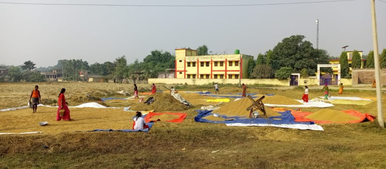 आधुनिक मेशिनरीको विस्तारसँगै चौकीदार, गाउँदार, ब्राह्मण र हजाम परम्परागत ज्यालाबाट वञ्चित