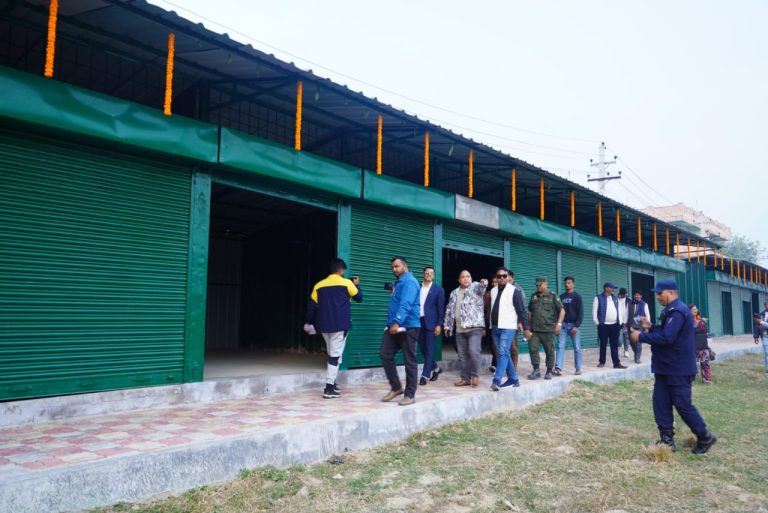 वीरगंजमा छपकैया तरकारी तथा फलफूल थोक बजार सञ्चालन