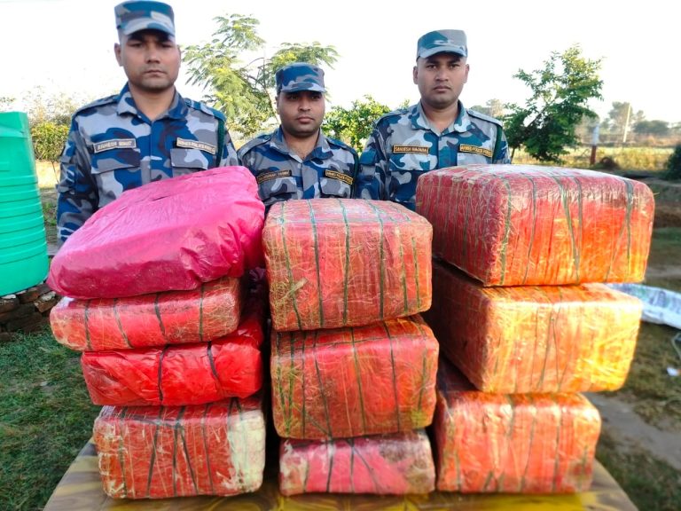 सशस्त्र प्रहरीद्वारा ९१ के.जि. गाँजा बरामद