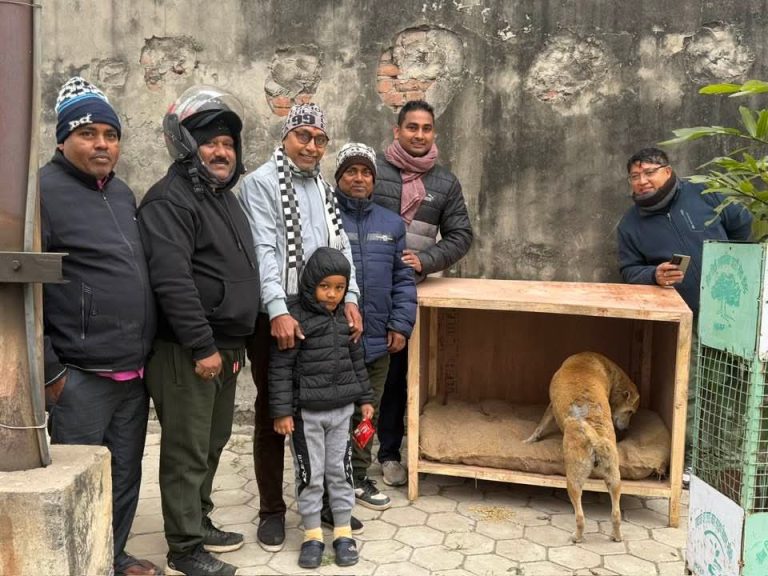 वीरगंजमा वडाध्यक्ष कानुको अग्रसरतामा छाडा कुकुरका लागि न्यानो बासको व्यवस्था