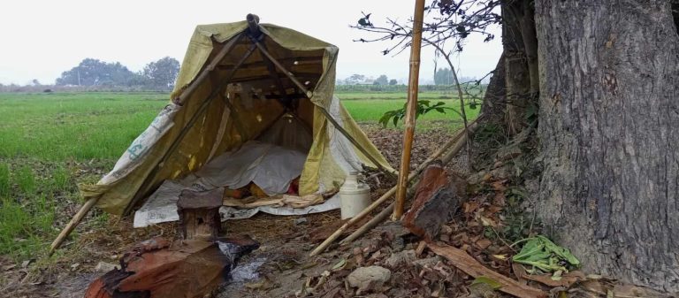 जंगली जनावरको आतंकले पर्साका किसान रातभर खेतमै जाग्राम बस्न बाध्य