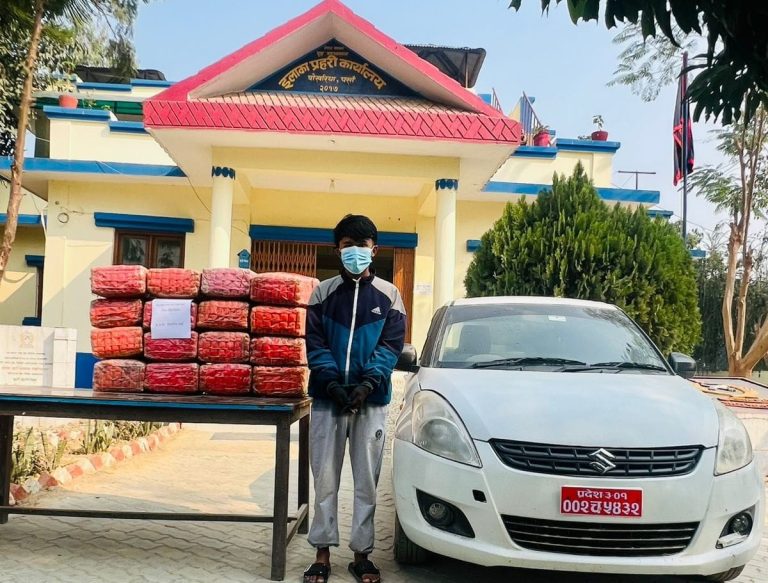 पर्साकाे पकाहाँ मैनपुरबाट १२८ किलो गाँजासहित कार र चालक पक्राउ