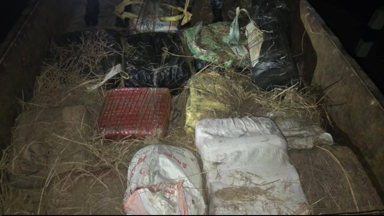 पर्साको जिराभवानीबाट ट्याक्टरमा २१३ किलो गाँजा बरामद