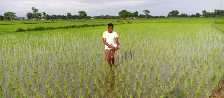 मल अभावले पर्साका किसान मारमा, भारतीय बजारबाट महँगोमा किन्न बाध्य