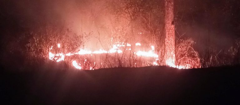पर्सामा डढेलो र धुलोका कारण वायु प्रदूषण बढ्दो, जनजीवन कष्टकर