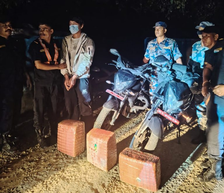 पर्सामा ३९ किलोभन्दा बढी गाँजा बरामद, ३ मोटरसाइकलसहित एक जना पक्राउ